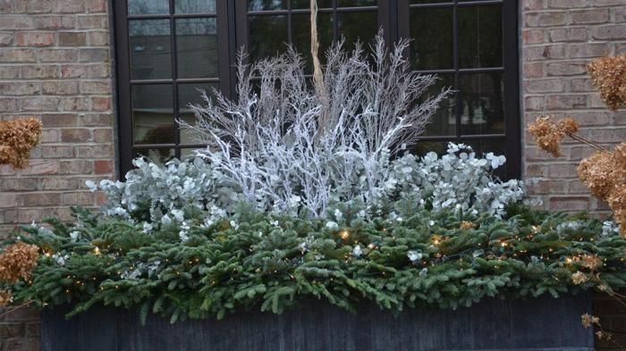 How to decorate window boxes for winter