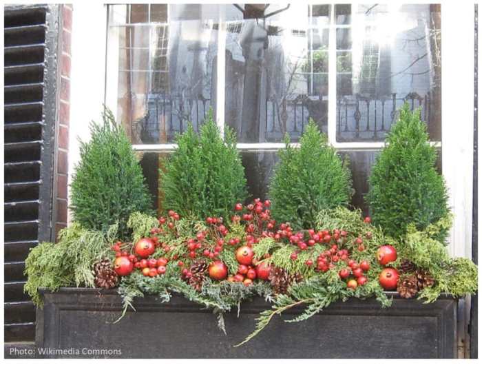 How to decorate window boxes for winter